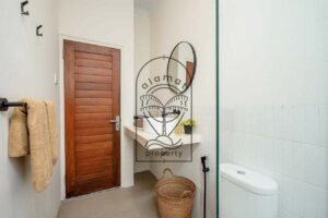 Fully furnished villa in Babakan Canggu