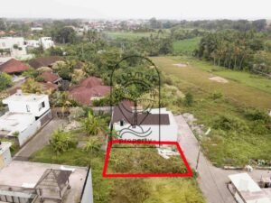 Freehold land for sale in Kedungu with plot boundary outlined in red near ricefields