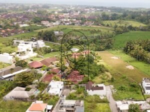 Freehold land for sale in Kedungu aerial view with ricefields stretching to the ocean