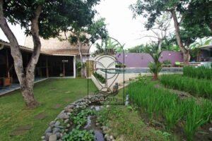 Villa Mizu garden with rice plants, pond and pool in the background