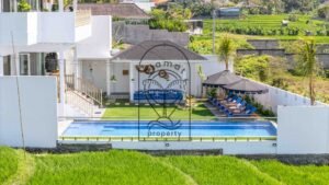 Aerial view of a 6-bedroom villa for rent in Berawa with pool and rice field views